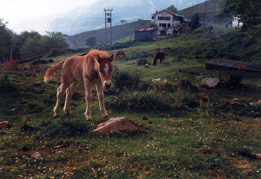 1997 - Pays basque 4 (Avril 1997).jpg